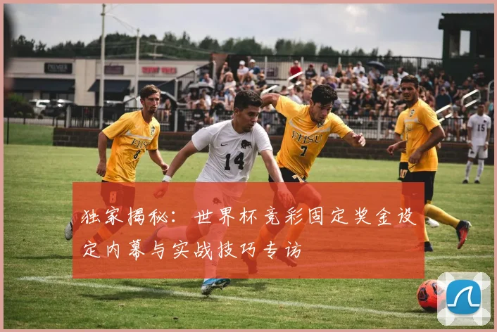 独家揭秘：世界杯竞彩固定奖金设定内幕与实战技巧专访