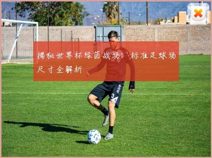 揭秘世界杯绿茵战场:标准足球场尺寸全解析