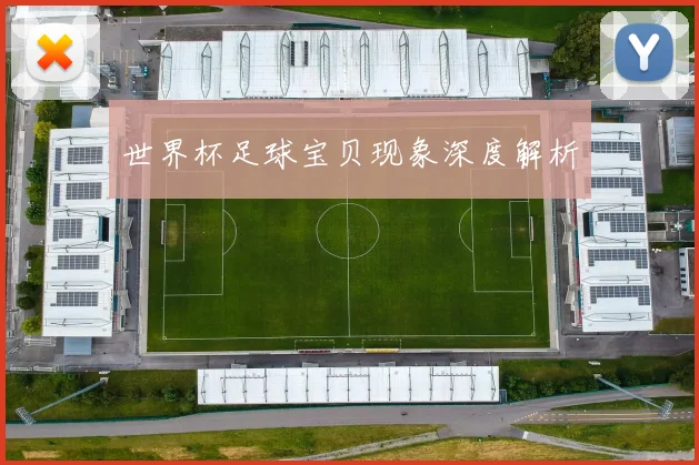 世界杯足球宝贝现象深度解析