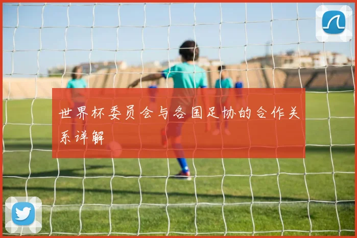 世界杯委员会与各国足协的合作关系详解