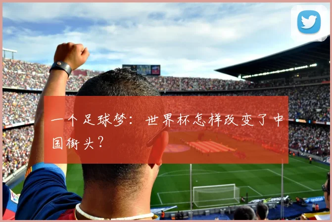 一个足球梦:世界杯怎样改变了中国街头?