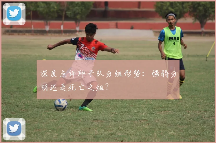 深度点评种子队分组形势：强弱分明还是死亡之组？