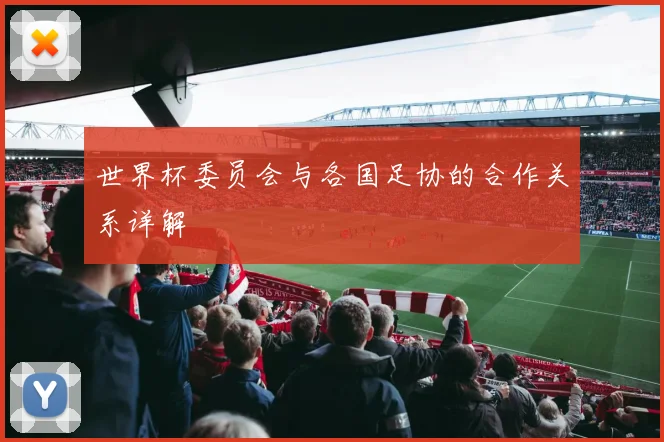 世界杯委员会与各国足协的合作关系详解