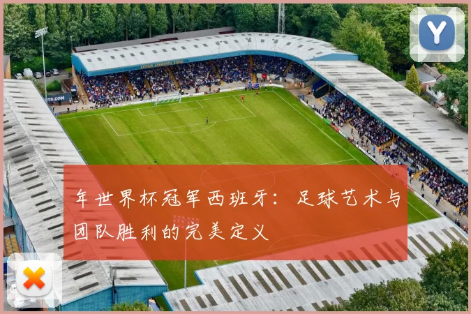 年世界杯冠军西班牙：足球艺术与团队胜利的完美定义