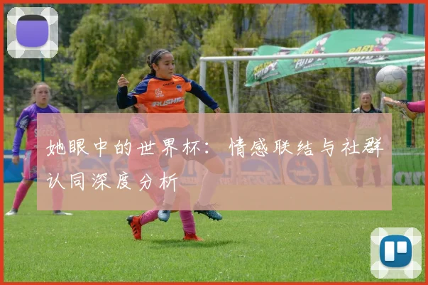 她眼中的世界杯：情感联结与社群认同深度分析