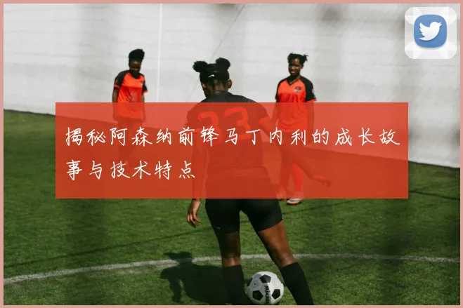 揭秘阿森纳前锋马丁内利的成长故事与技术特点