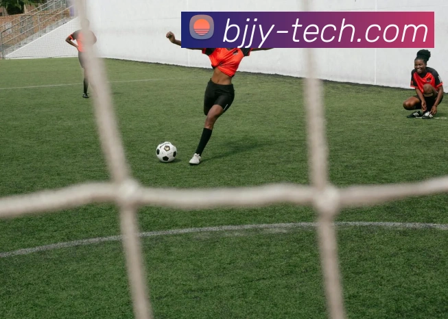 云开体app官网入口平台生态图