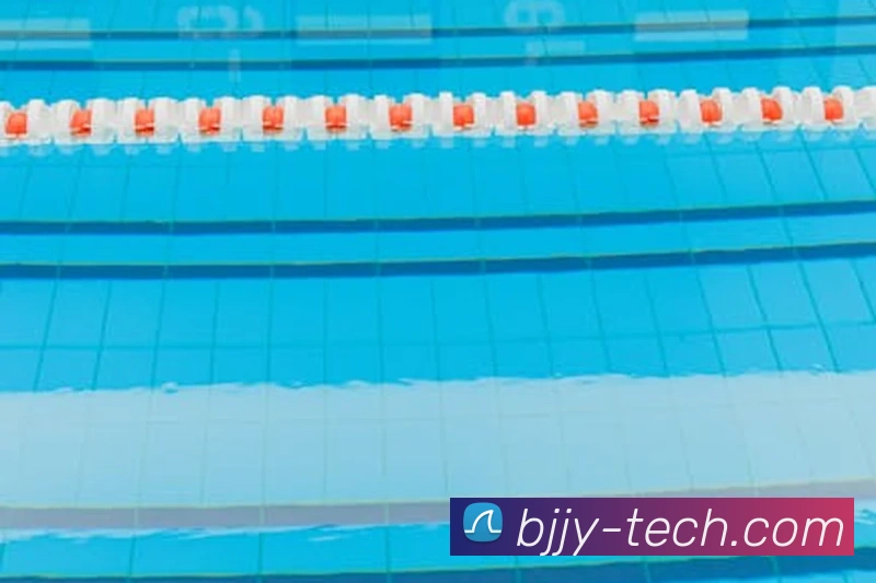 云开体app官网入口APP 封面图